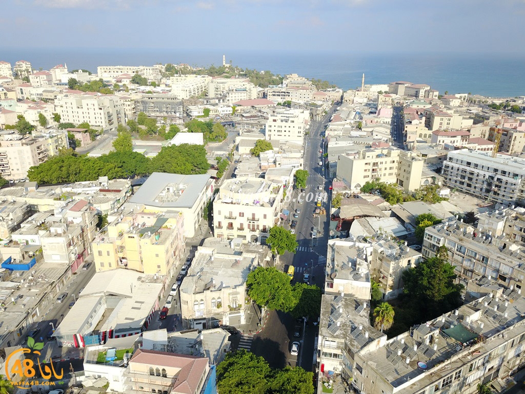 jamal basha tsterre (12).JPG